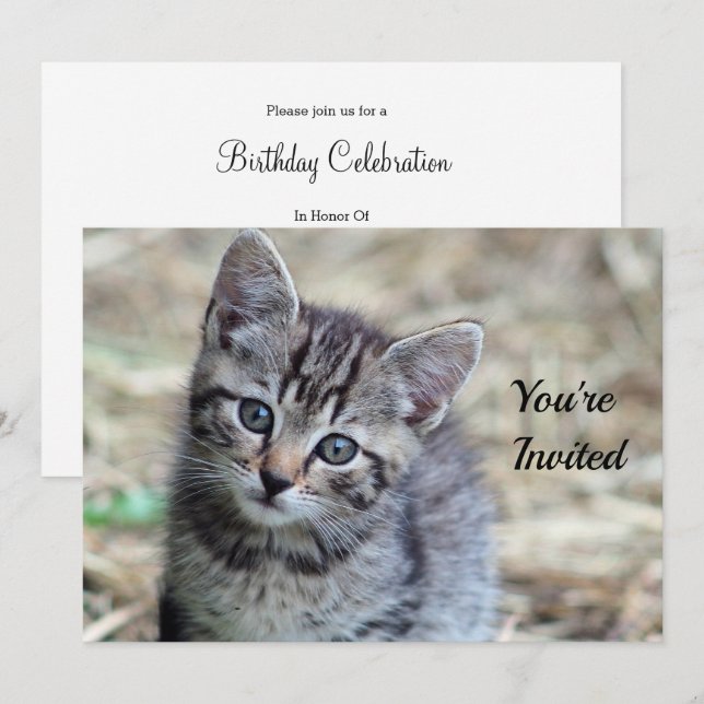Cute Tabby Kitten Photo Birthday Inbjudningar (Fram/baksida)