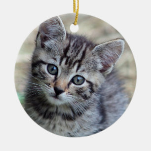 Cute Tabby Kitten Photo Julgransprydnad Keramik