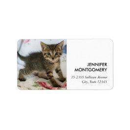 Cute Tabby Kitten Tittar förvånad Adressetikett