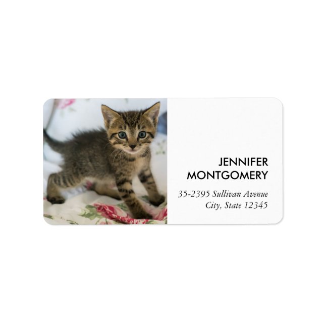 Cute Tabby Kitten Tittar förvånad Adressetikett (Framsidan)