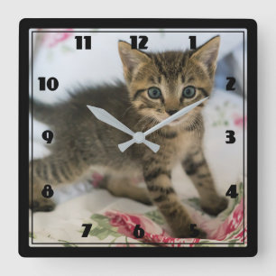 Cute Tabby Kitten Tittar förvånad Fyrkantig Klocka