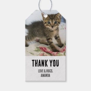 Cute Tabby Kitten Tittar förvånad över Tacken Presentetikett