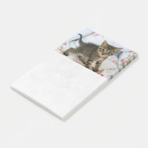 Cute Tabby Kitten Tittar förvånad Post-it Block