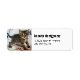 Cute Tabby Kitten Tittar förvånad Returadress Etikett