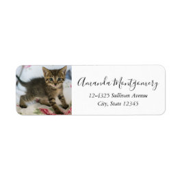 Cute Tabby Kitten Tittar förvånad Returadress Etikett