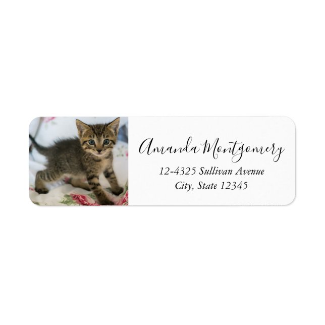 Cute Tabby Kitten Tittar förvånad Returadress Etikett (Framsidan)