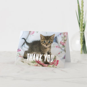 Cute Tabby Kitten Tittar förvånad Tack Kort