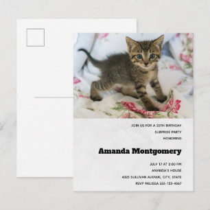 Cute Tabby Kitten Tittar överraskad födelsedag Inbjudan Vykort