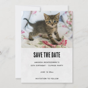 Cute Tabby Kitten Tittar överraskad födelsedag Spara Datumet