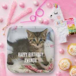 Cute Tabby Kitten Tittar överraskad på födelsedage