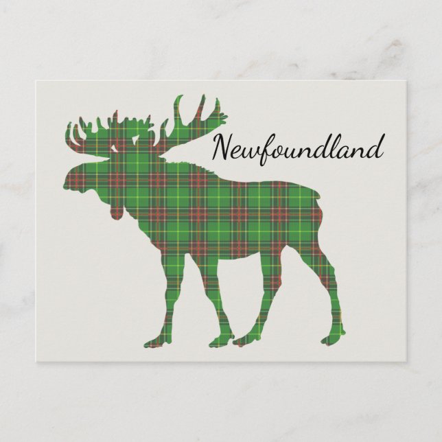 Cute Tartan moose Newfoundland-vykort Vykort (Framsida)