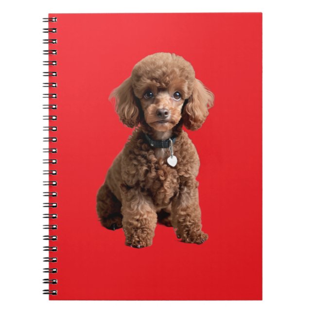  Cute Teacup Poodle Red Folder Anteckningsbok (Framsidan)