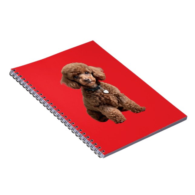  Cute Teacup Poodle Red Folder Anteckningsbok (Högra Sidan)