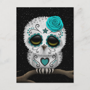 Cute Teal Day of the dead Sugar Skull Uggla Stars Vykort