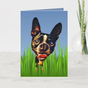 Cute Tecknad Boston Terrier Greeting Card Kort