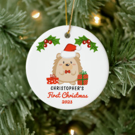 Cute Tecknad Hedgehog Baby Första julfoto Julgransprydnad Keramik
