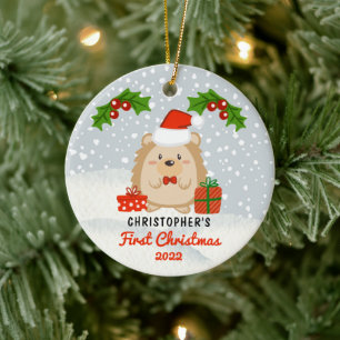 Cute Tecknad Hedgehog Baby Första julfoto Julgransprydnad Keramik