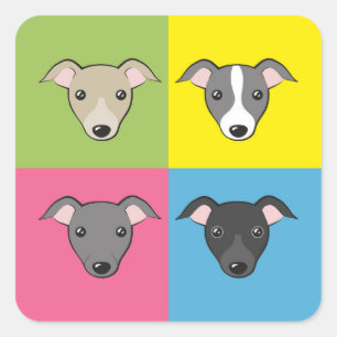 Cute tecknad Italienska greyhounds colorent pop ar Fyrkantigt Klistermärke