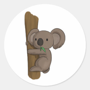 Cute Tecknad Koala Bear on Träd Eating Eucalyptus Runt Klistermärke