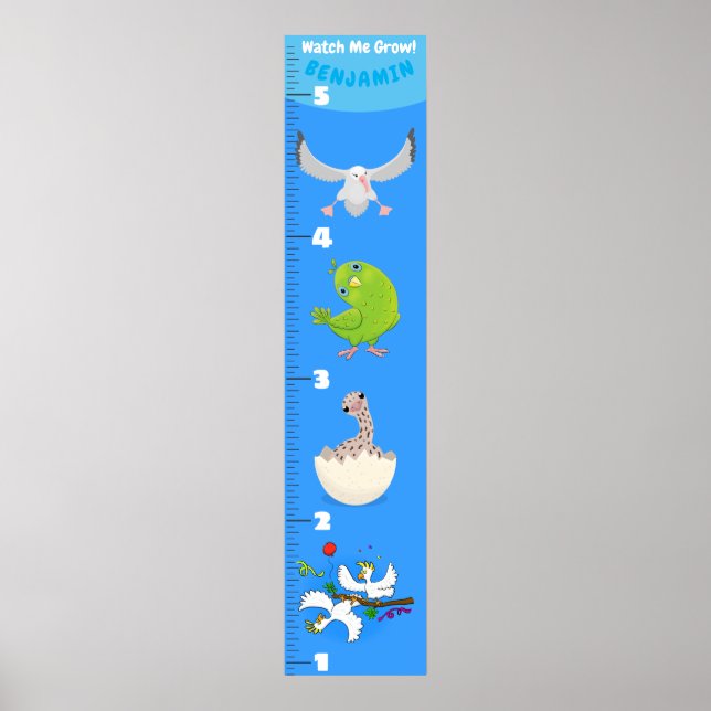 Cute-tecknad-tillväxtdiagram för roliga fåglar poster (Framsidan)