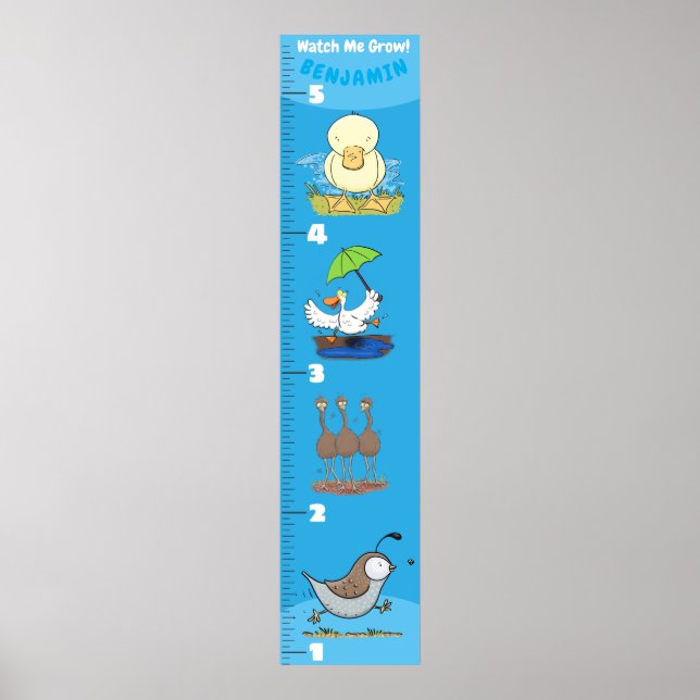 Cute-tecknad-tillväxtdiagram för roliga fåglar poster (Framsidan)