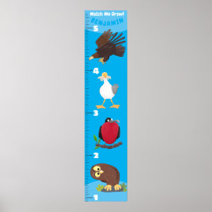 Cute-tecknad-tillväxtdiagram för roliga fåglar poster