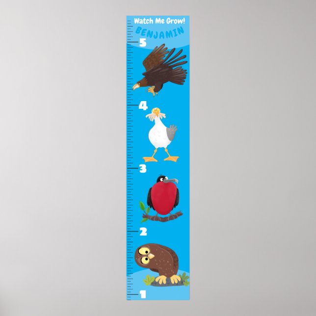 Cute-tecknad-tillväxtdiagram för roliga fåglar poster (Framsidan)