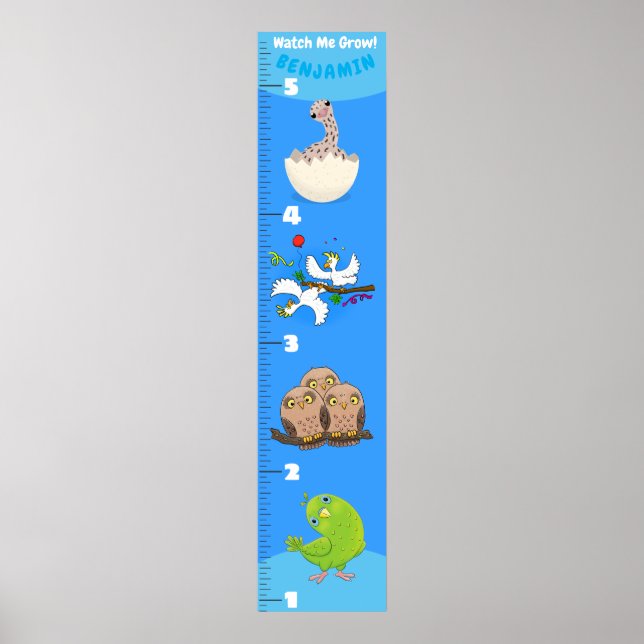 Cute-tecknad-tillväxtdiagram för roliga fåglar poster (Framsidan)
