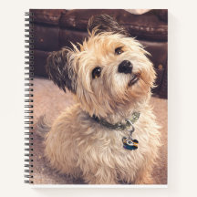 Cute Terrier Dog Small Notepad