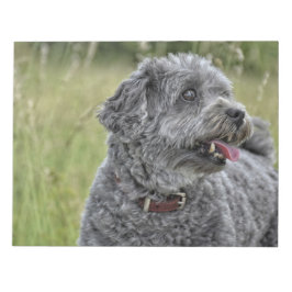 Cute Terrier Hund Anteckningsblock