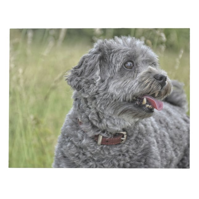 Cute Terrier Hund Anteckningsblock (Framsida)