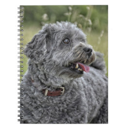 Cute Terrier Hund Anteckningsbok