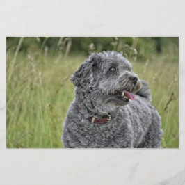 Cute Terrier Hund Brevpapper