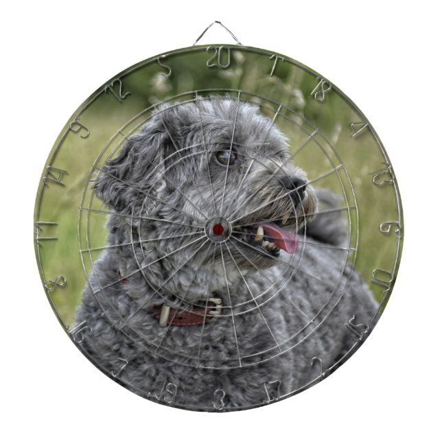 Cute Terrier Hund Darttavla (Framsidan)