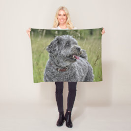 Cute Terrier Hund Fleecefilt