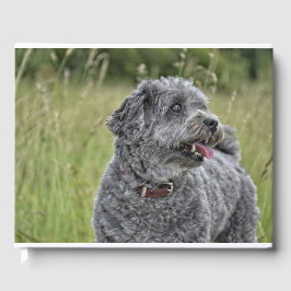 Cute Terrier Hund Gästböcker