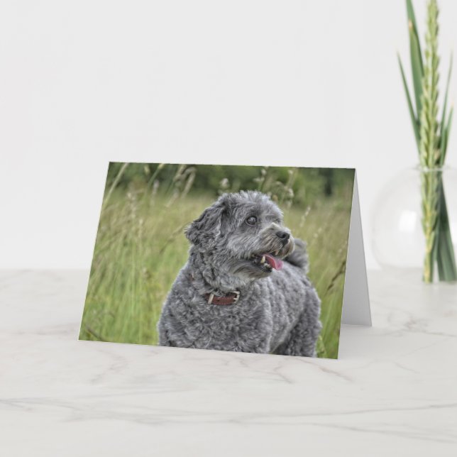 Cute Terrier Hund Kort (Framsida)