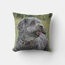Cute Terrier Hund Kudde