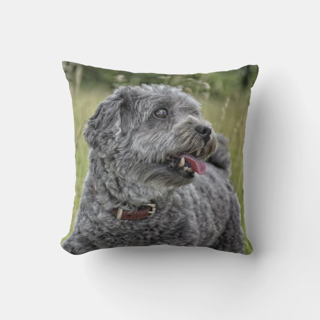 Cute Terrier Hund Kudde (Framsida)