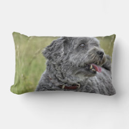 Cute Terrier Hund Lumbarkudde