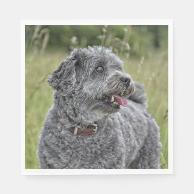 Cute Terrier Hund Pappersservett (Framsidan)