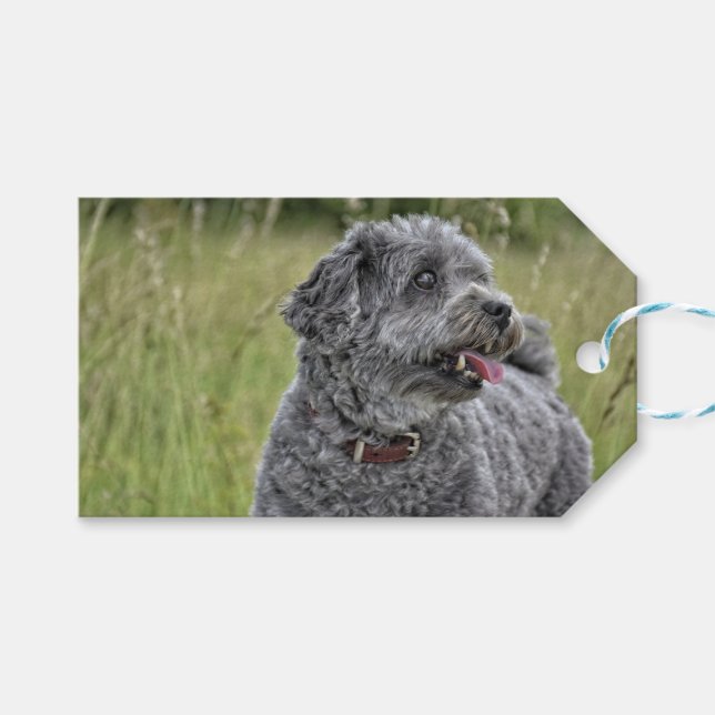 Cute Terrier Hund Presentetikett (Framsidan (Horisontell))