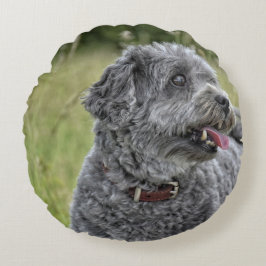 Cute Terrier Hund Rund Kudde