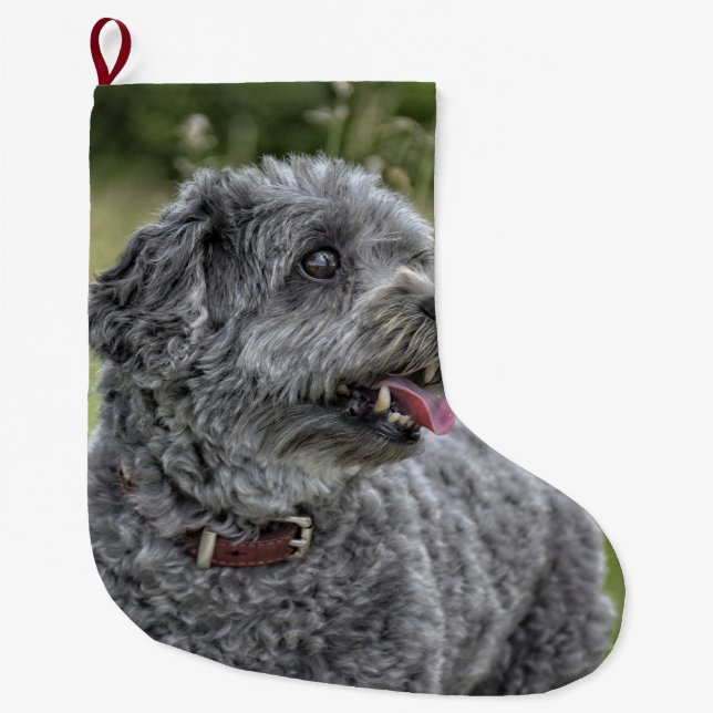 Cute Terrier Hund Stor Julstrumpa (Framsidan)