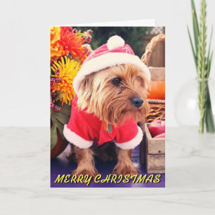 Cute Terrier-julkort Helgkort