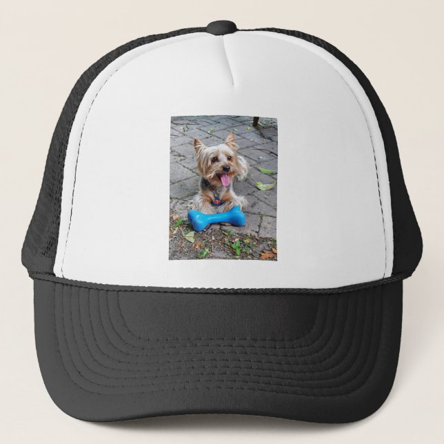 Cute Terrier Keps (Framsida)