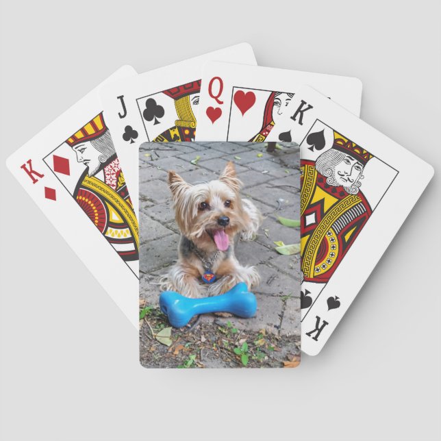 Cute Terrier-kort Casinokort (Baksidan)