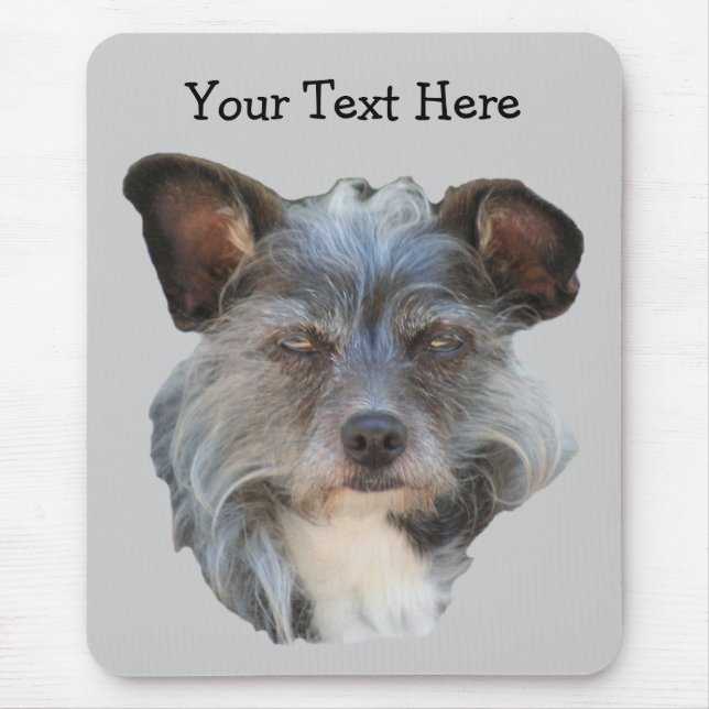 Cute Terrier Mixed Breed Mutt Hund Mousepad Musmatta (Framsidan)