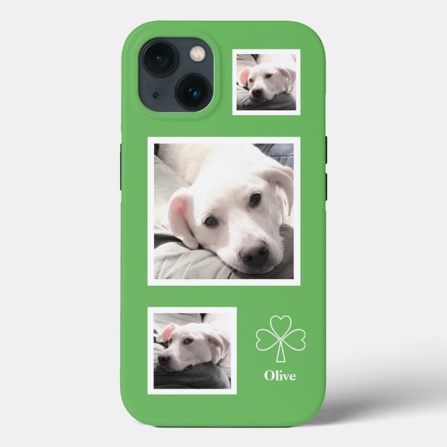 Cute Three Photos of Sweet White Puppy Hund Grönt (Baksida)