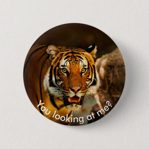 Cute Tiger i gräs Knapp